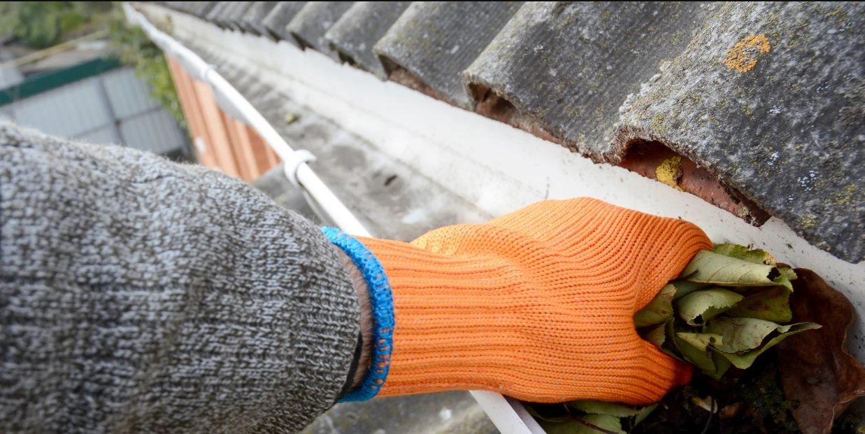 Gloved hand clearing leaves from a gutter