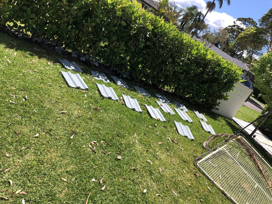 Roof Restoration